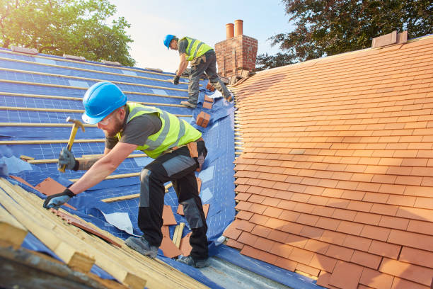 Best Chimney Flashing Repair  in Charlottesville, VA
